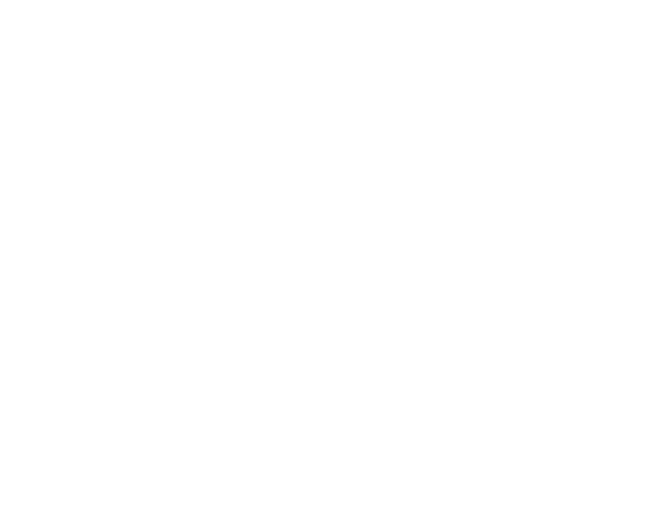 מוזיאון בית שטורמן